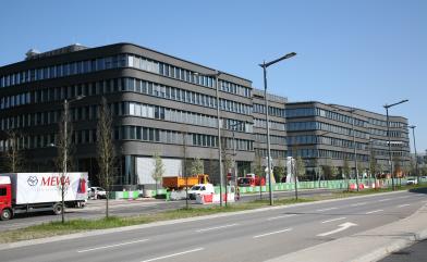 Arendt House